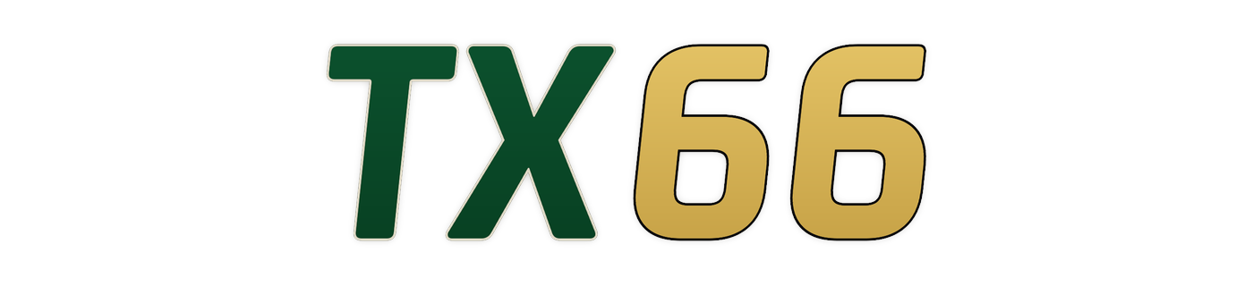 tx66